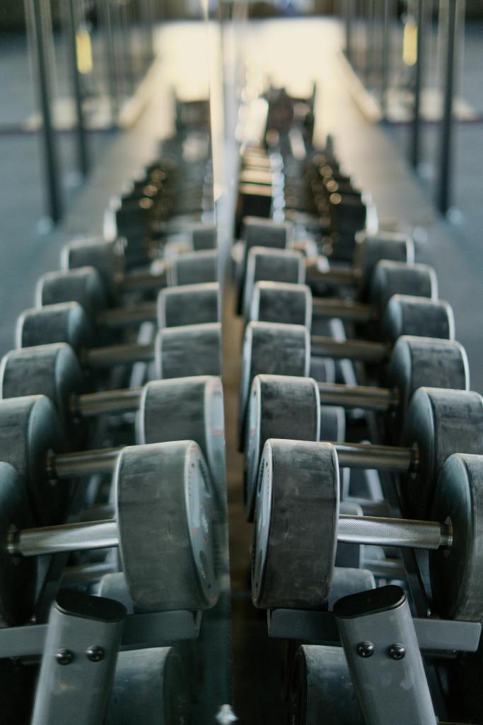 Rows of free weights arranged in a gym rack, showing a symmetrical perspective of dumbbells lined up in ascending or descending order. The image captures a well-organized weight training area with metal dumbbells on their rack, fading into the distance